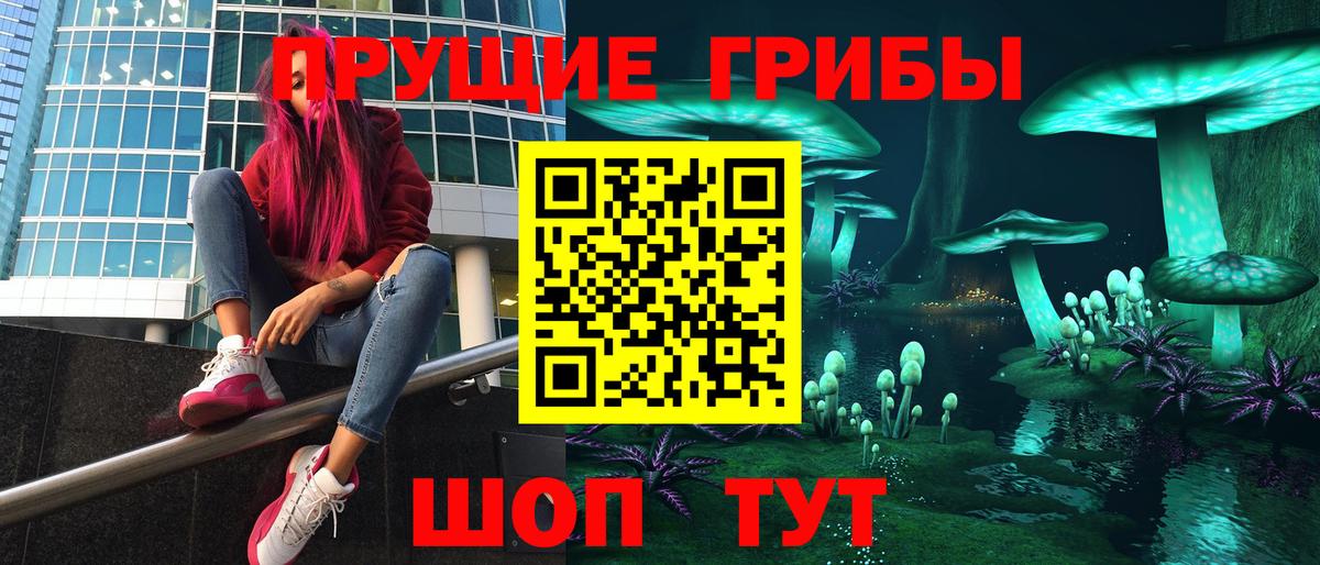 Псилоцибиновые грибы GOLDEN TEACHER  Вход с VPN  Советск 